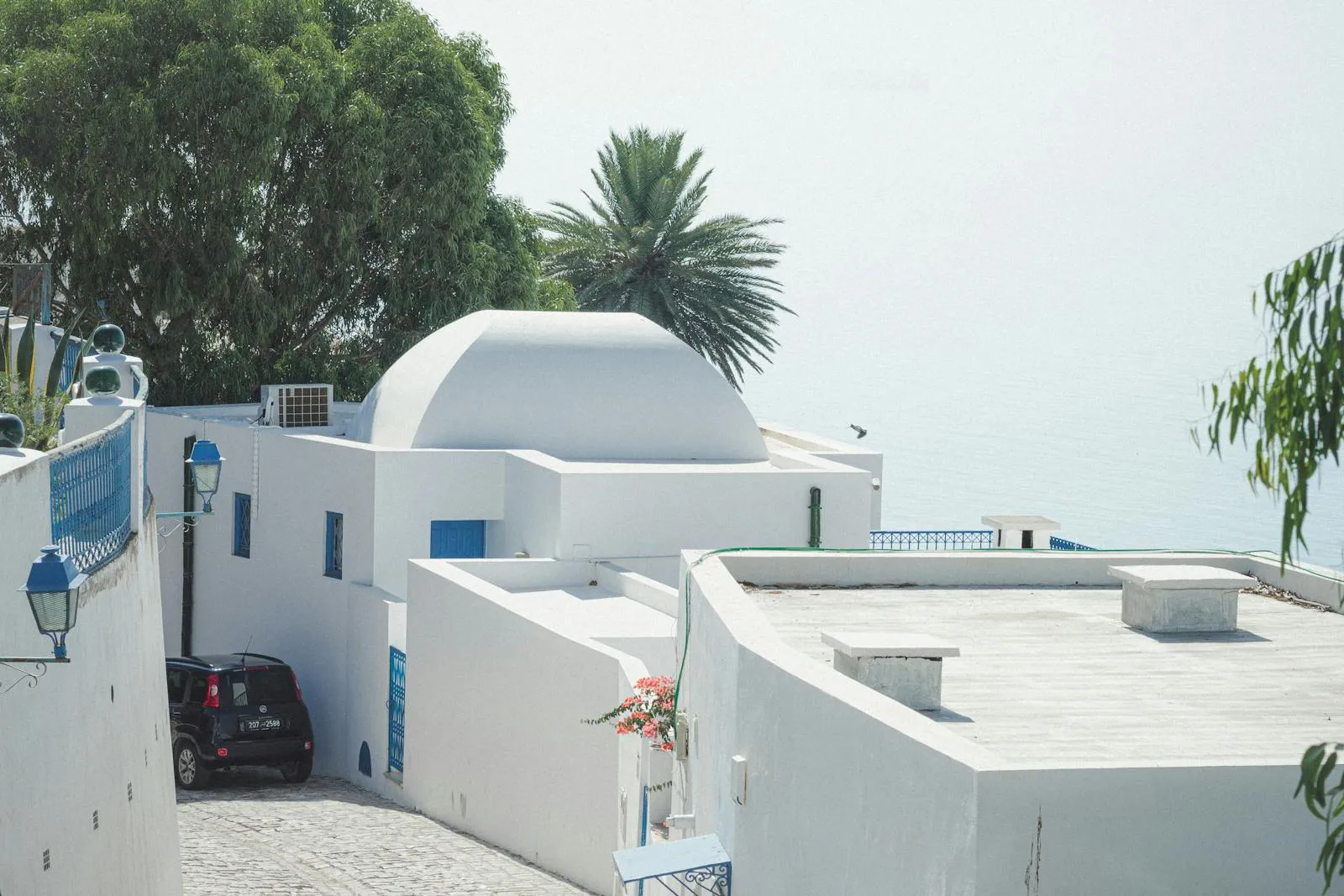 White architecture and greenery of Sidi Bou Saïd overlooking the Mediterranean